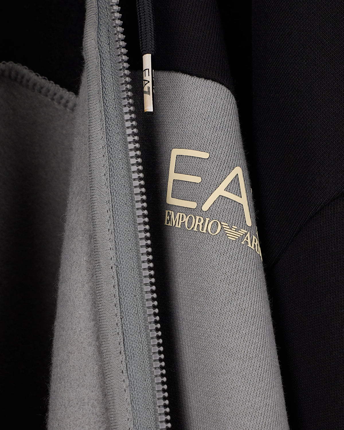 Tracksuit regular fit cotton jersey with hood and zip