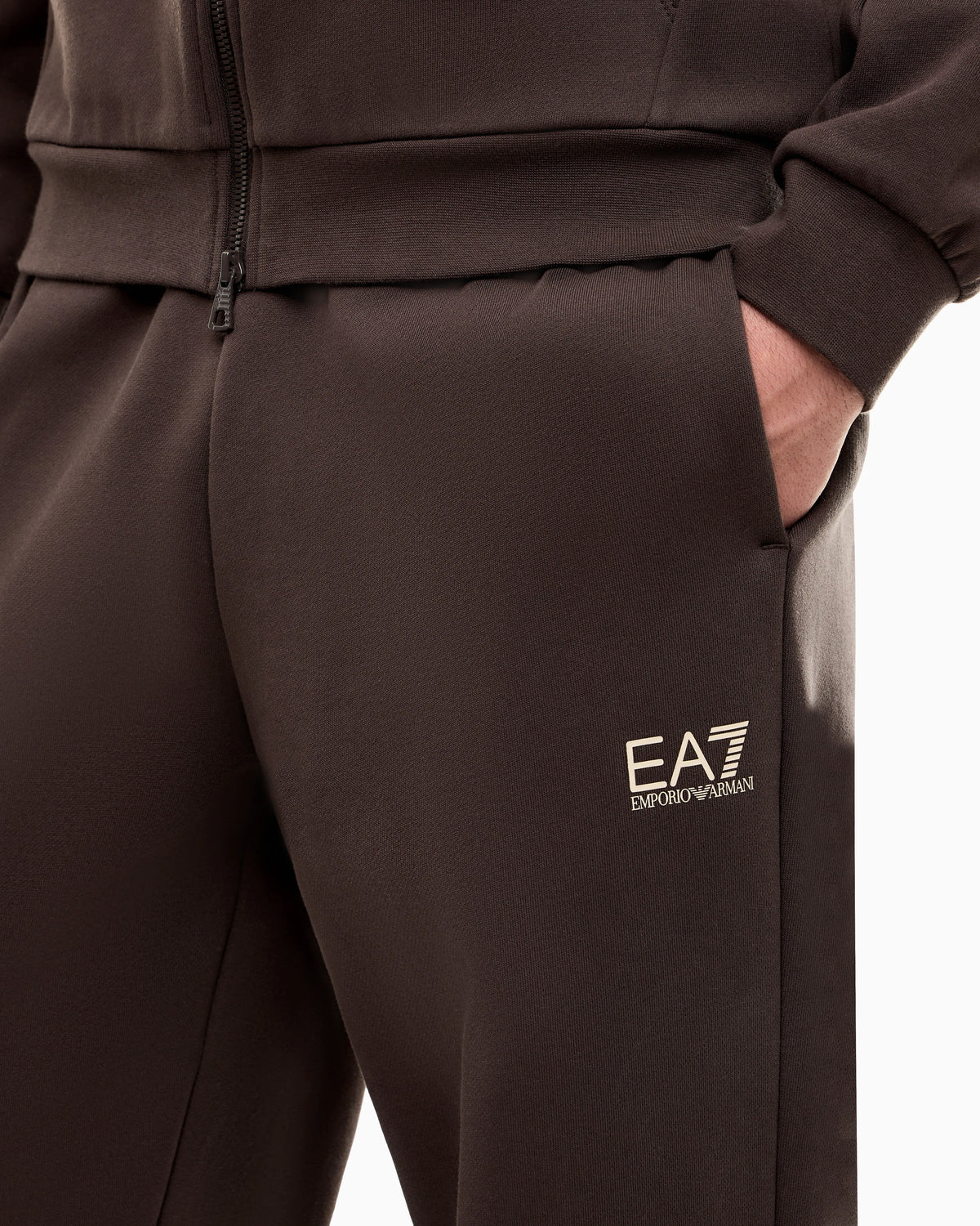 Tracksuit regular fit cotton jersey with hood and zip