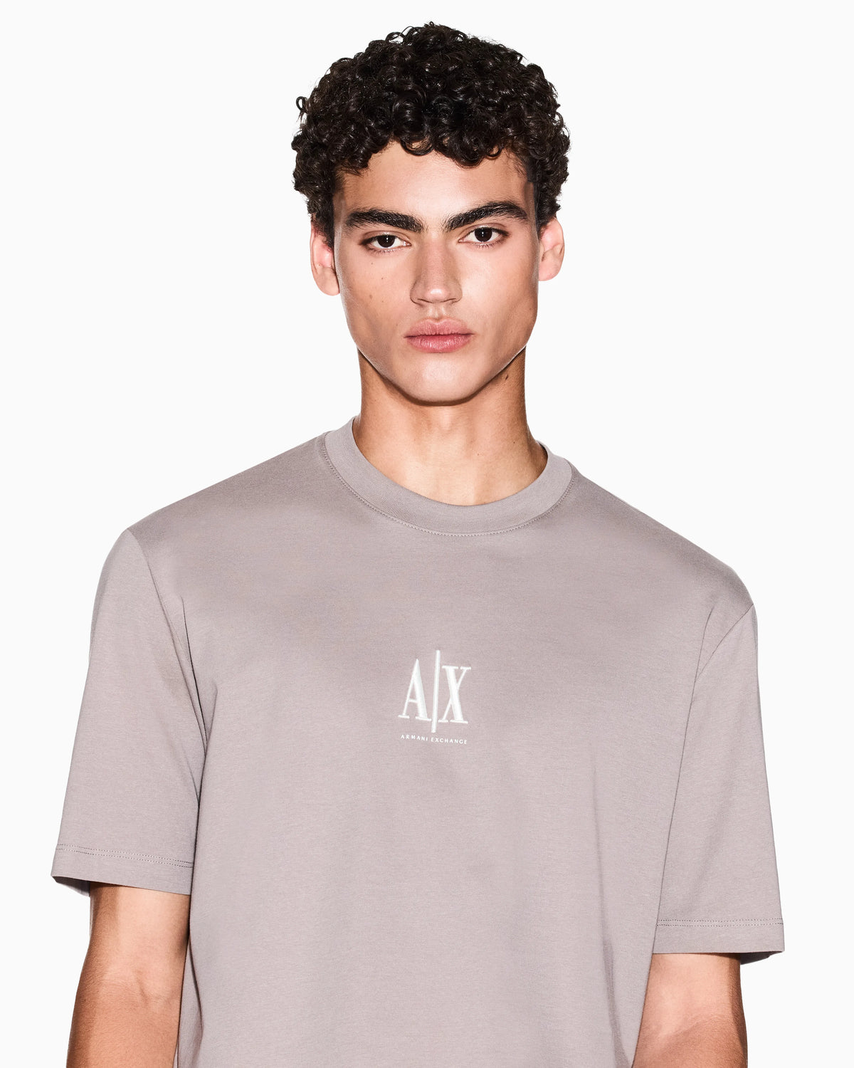 Regular fit cotton jersey t-shirt with a logo Icon