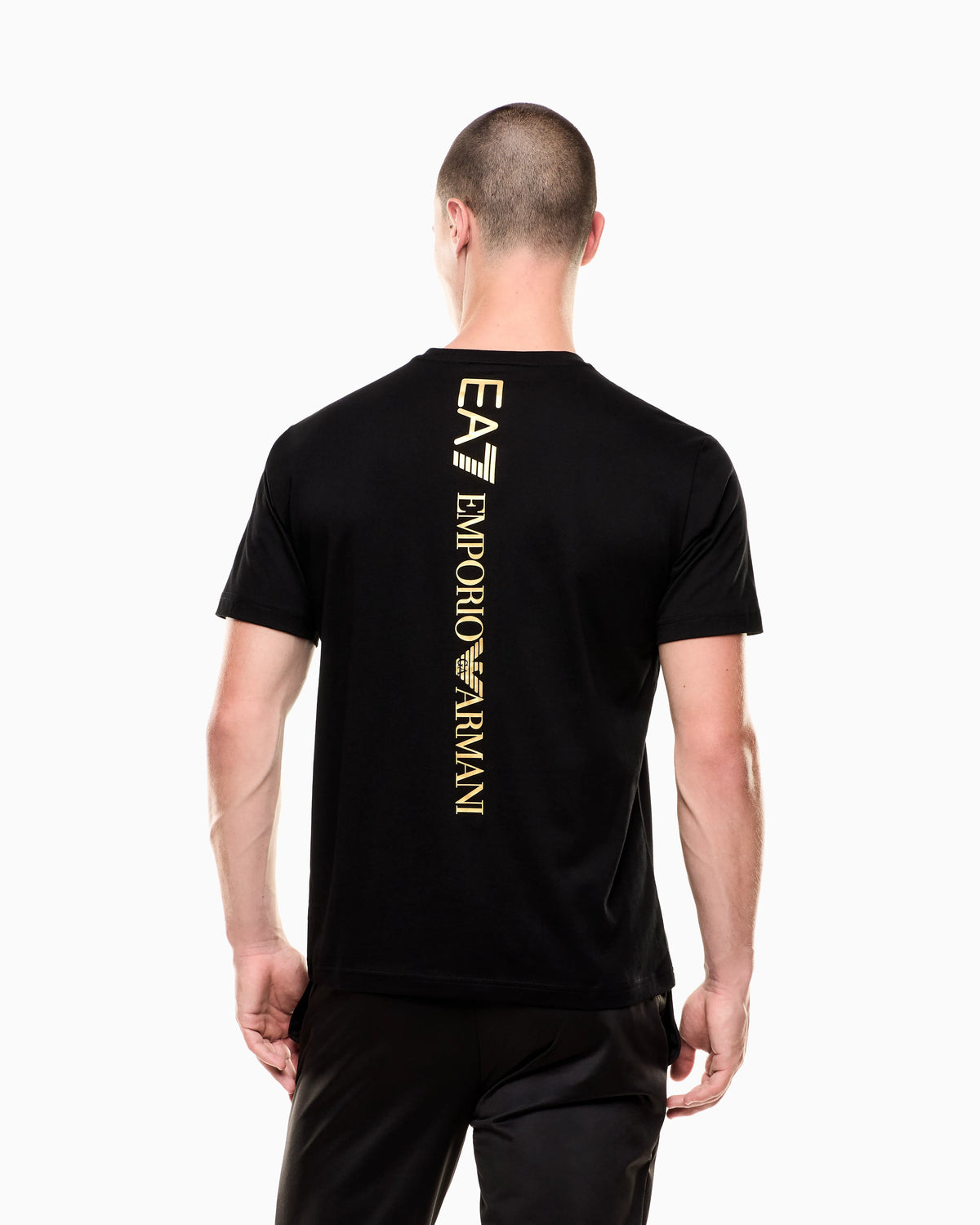 Logo t-shirt in cotton jersey with back print Logo Series