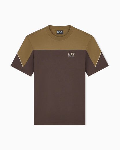 Regular fit t-shirt in cotton jersey