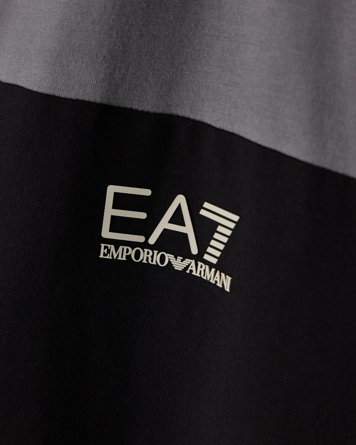 Regular fit t-shirt in cotton jersey
