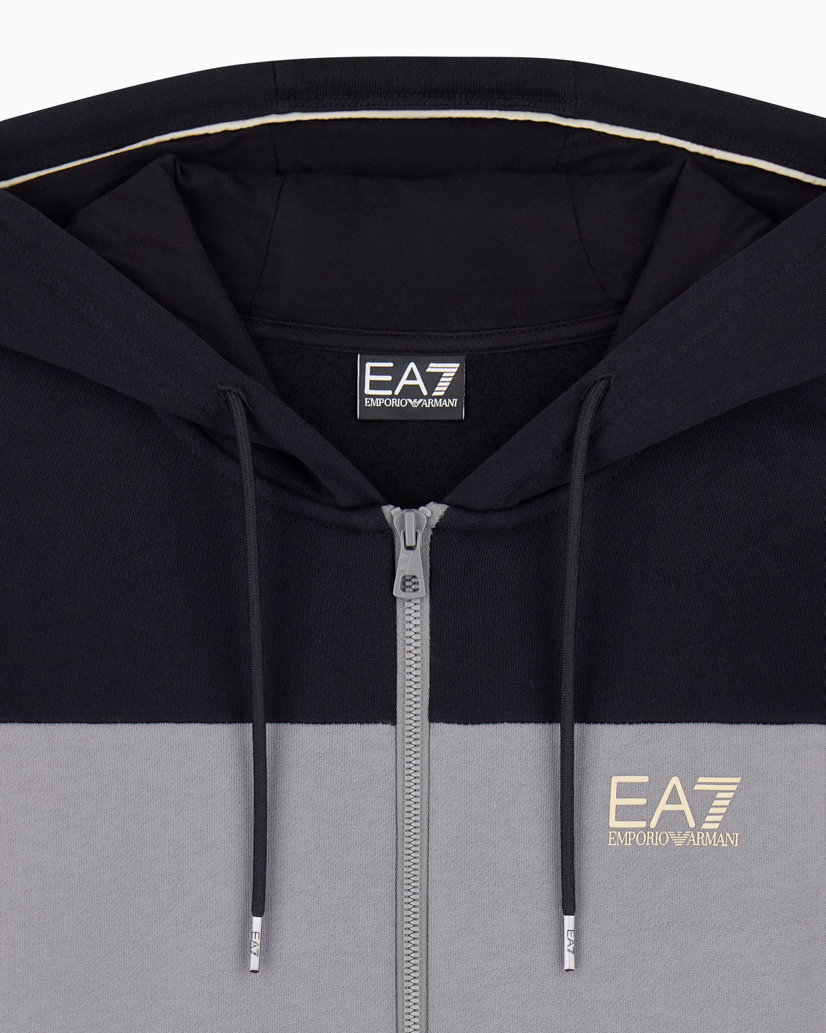 Regular fit jersey hoodie in cotton with full zip
