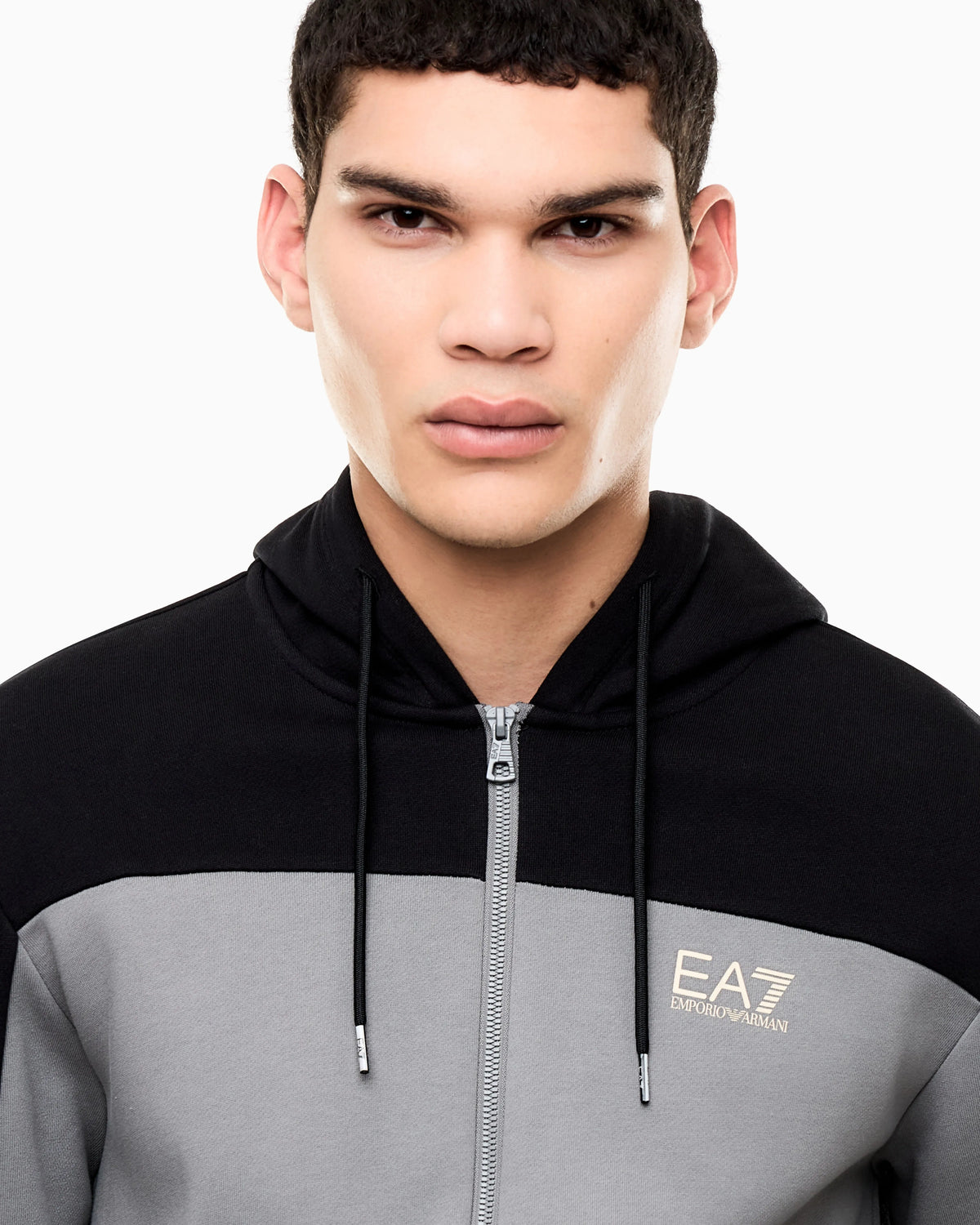 Regular fit jersey hoodie in cotton with full zip