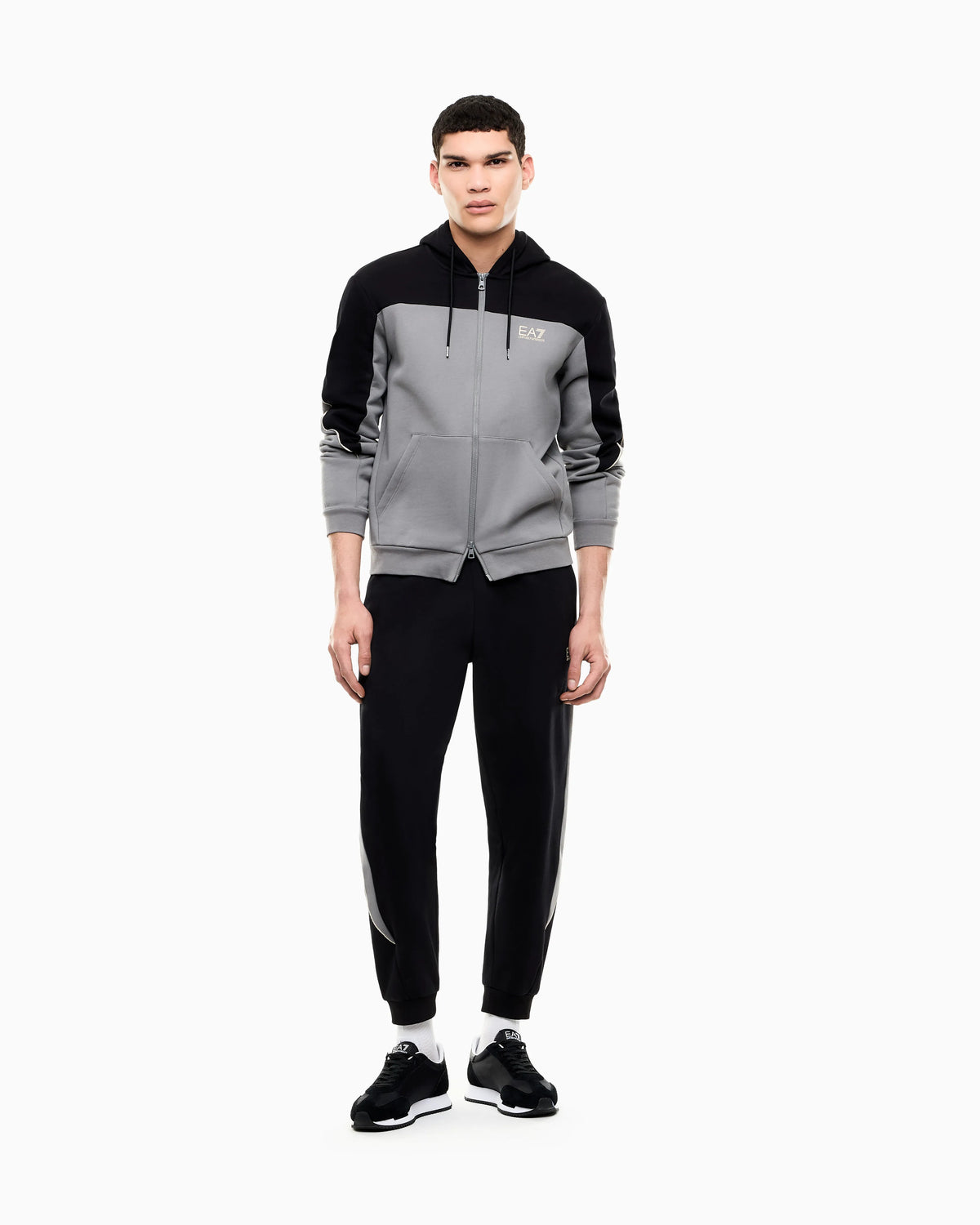 Regular fit jersey hoodie in cotton with full zip