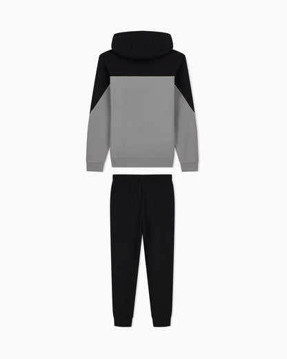Tracksuit regular fit cotton jersey with hood and zip