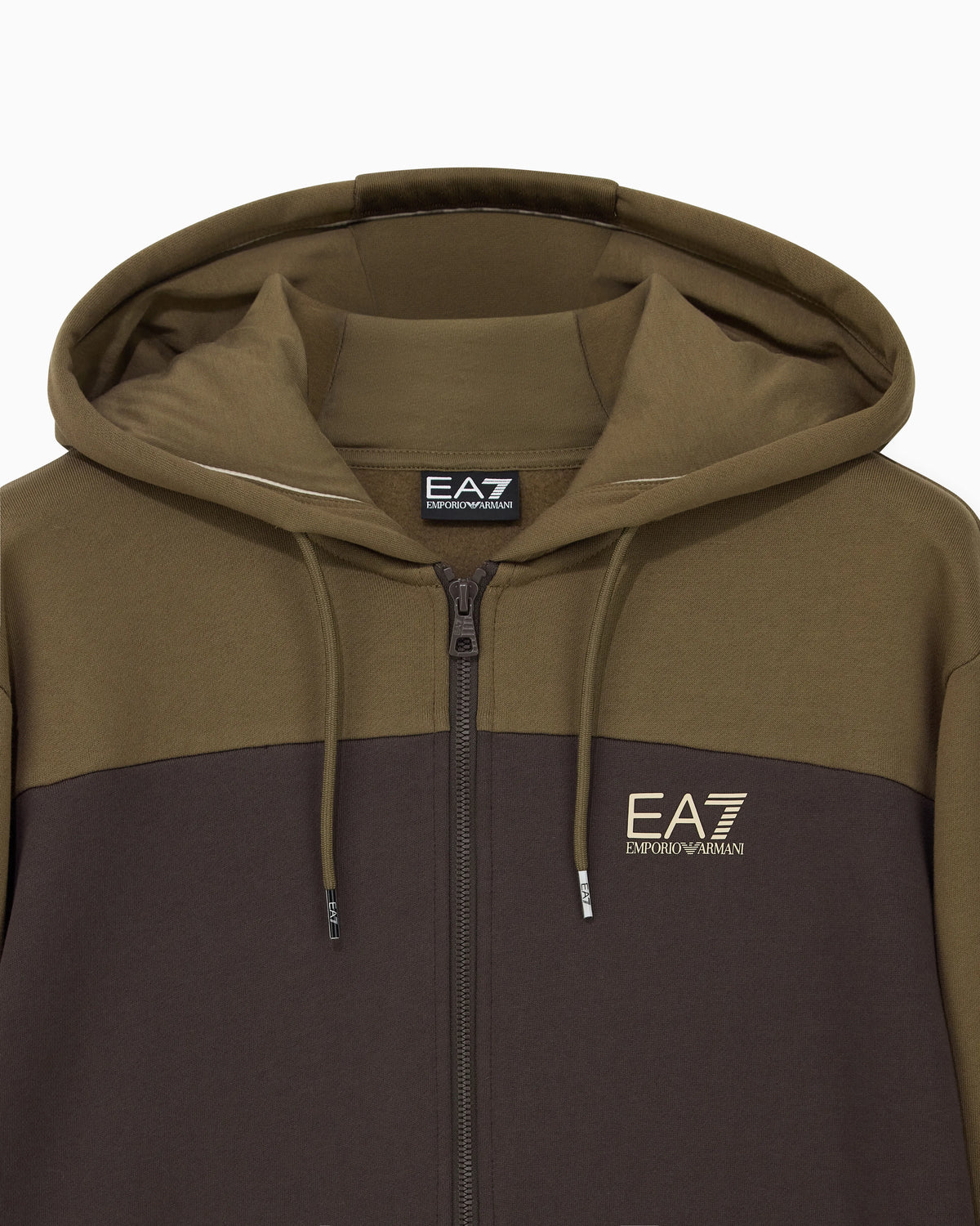 Tracksuit regular fit cotton jersey with hood and zip