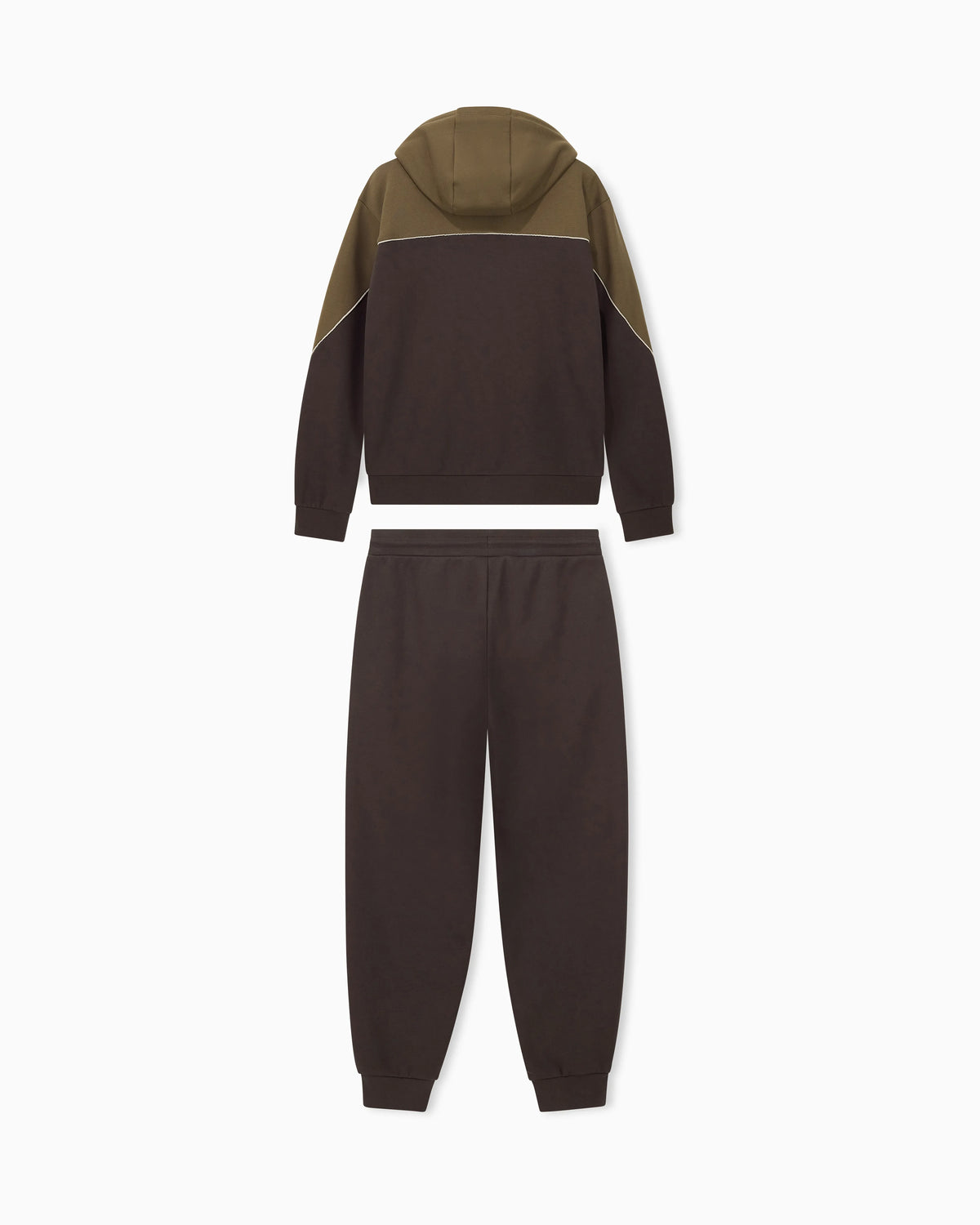 Tracksuit regular fit cotton jersey with hood and zip