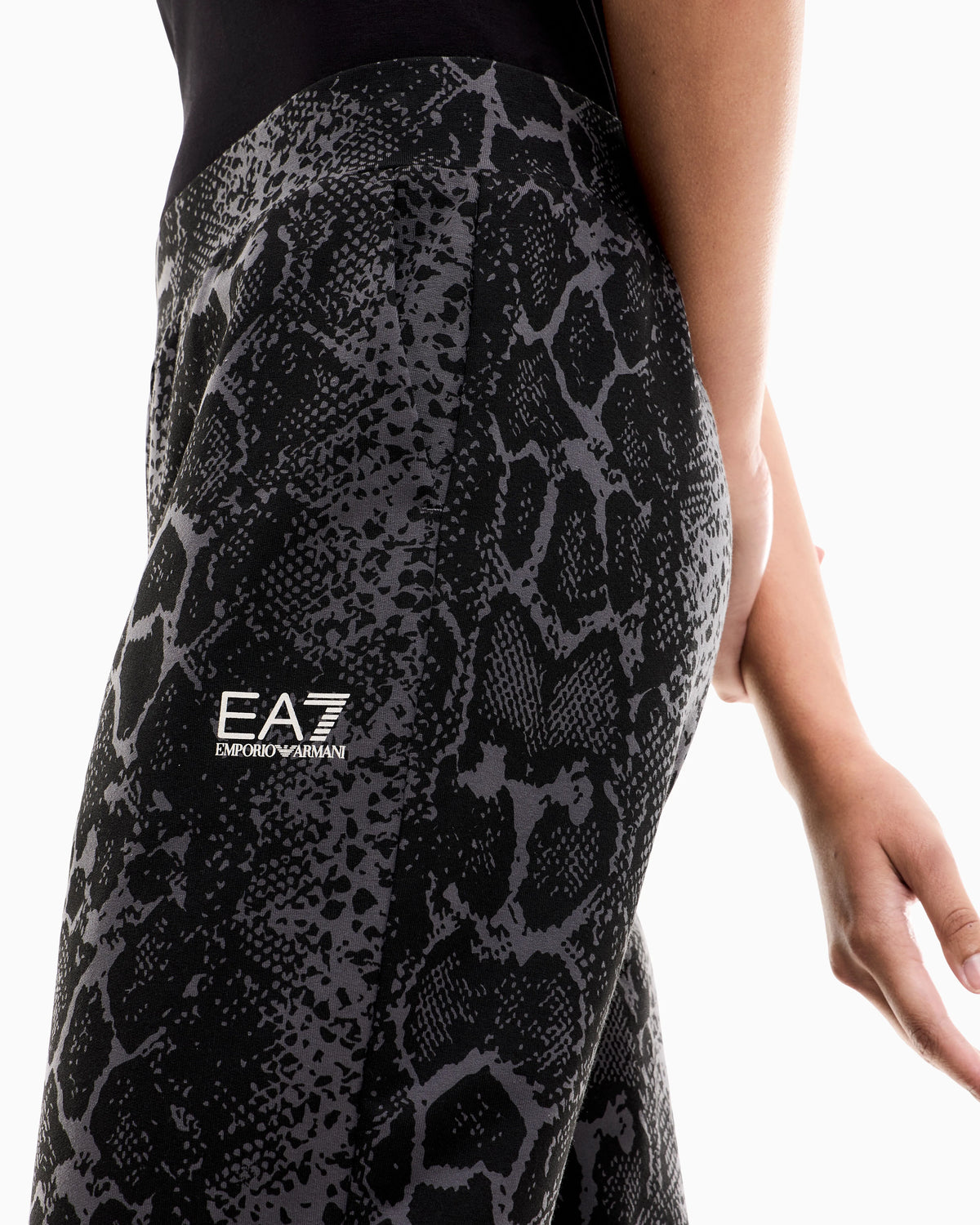 Regular fit pants Graphic Series in cotton jersey