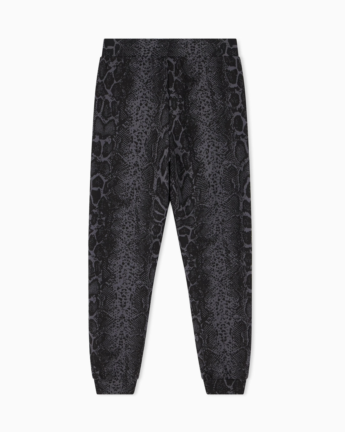Regular fit pants Graphic Series in cotton jersey
