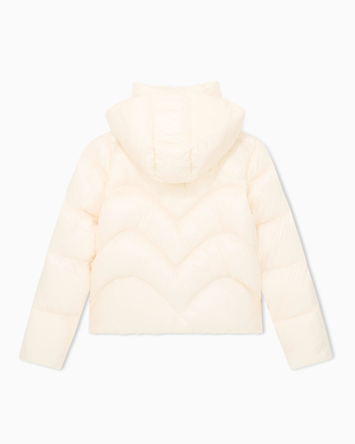 Bomber jacket regular fit padded
