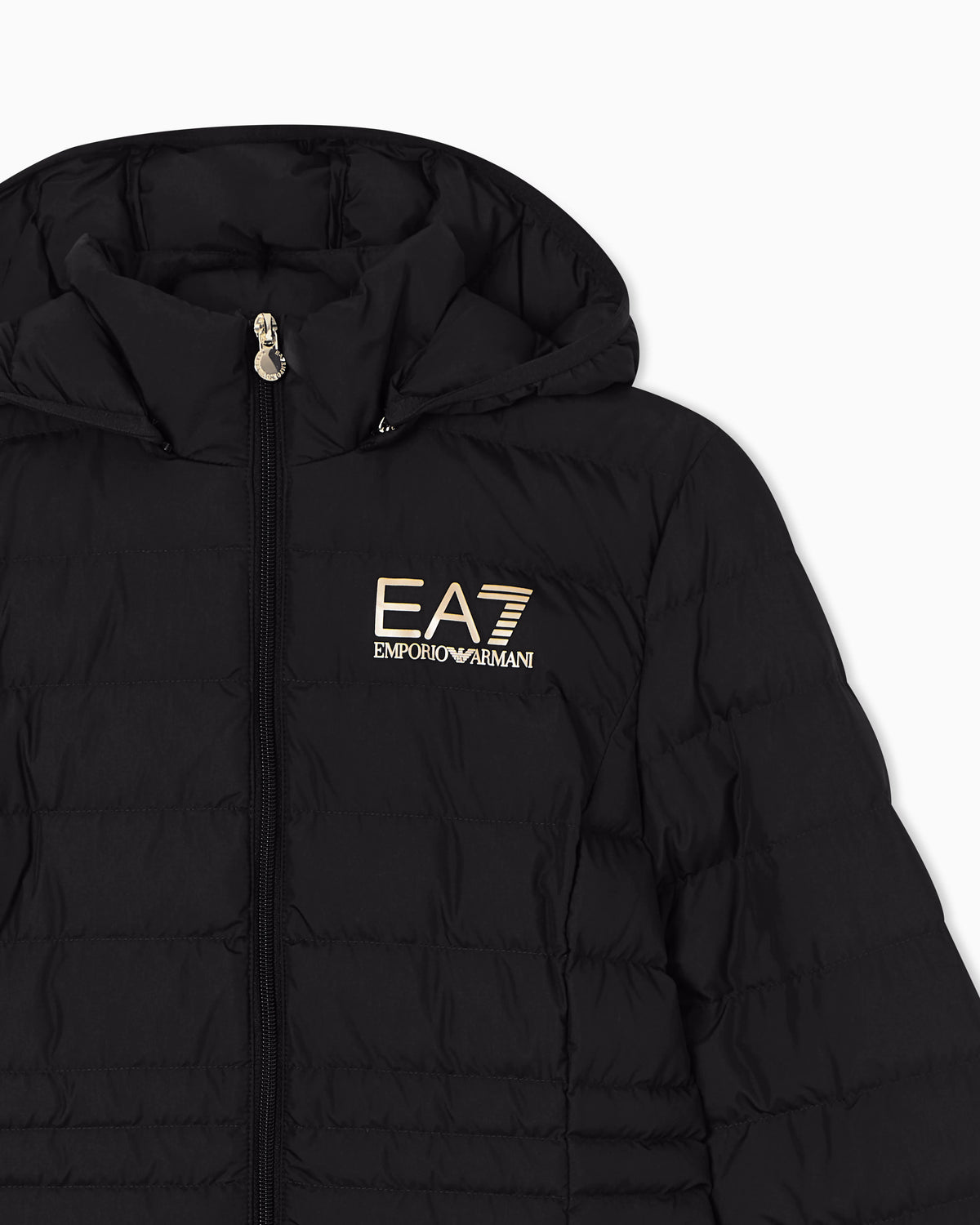 Padded jacket in technical fabric with a hood and zipper