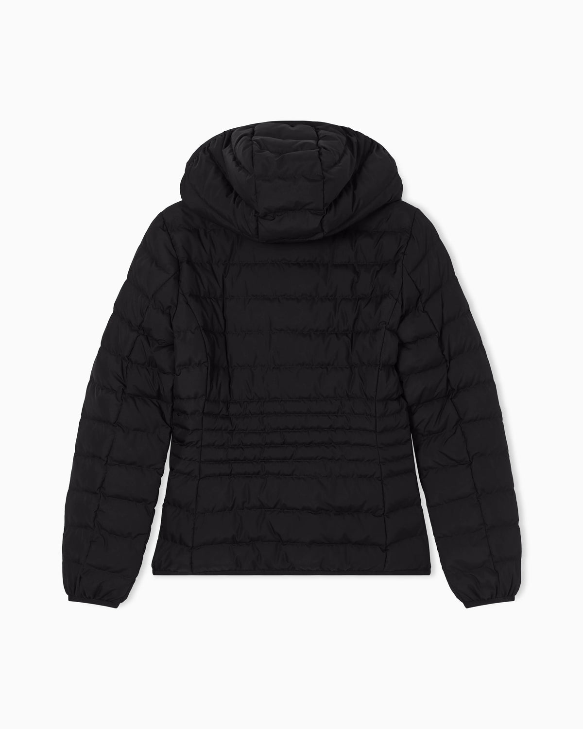 Padded jacket in technical fabric with a hood and zipper
