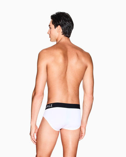 Stretch cotton briefs with a logo waistband Essential