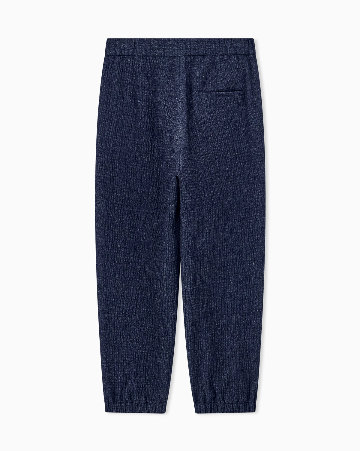 Trouser Soft regular fit froissè wool silk cashmere