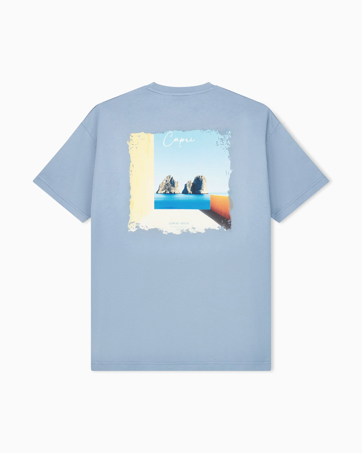 Cotton interlock jersey T-shirt with print on the back