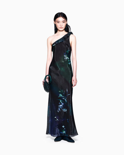 Long dress in printed silk organza
