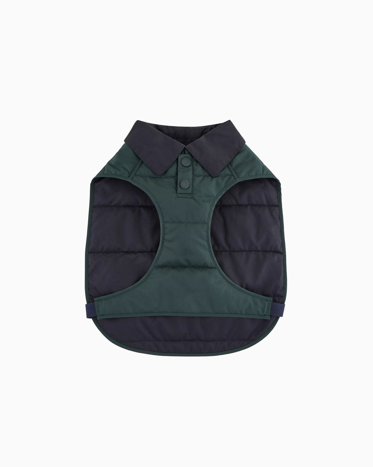 Coat overcoat for pets with padding and strap closure Poldo x Giorgio Armani