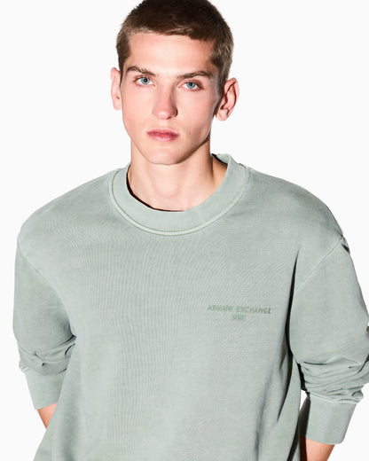 Garment-dyed cotton crewneck sweatshirt