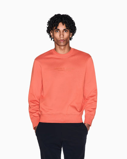 Crewneck sweatshirt with tone logo