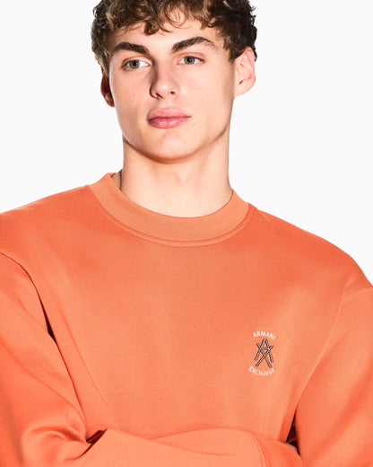 Crewneck sweatshirt with logo