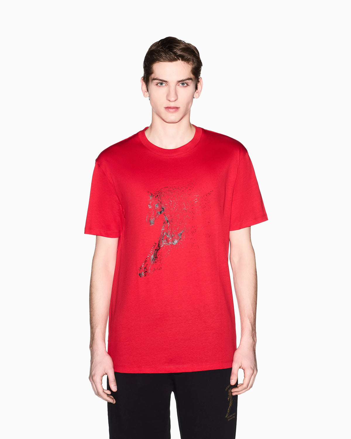 Regular Fit Mercerized Cotton Jersey T-Shirt with Horse