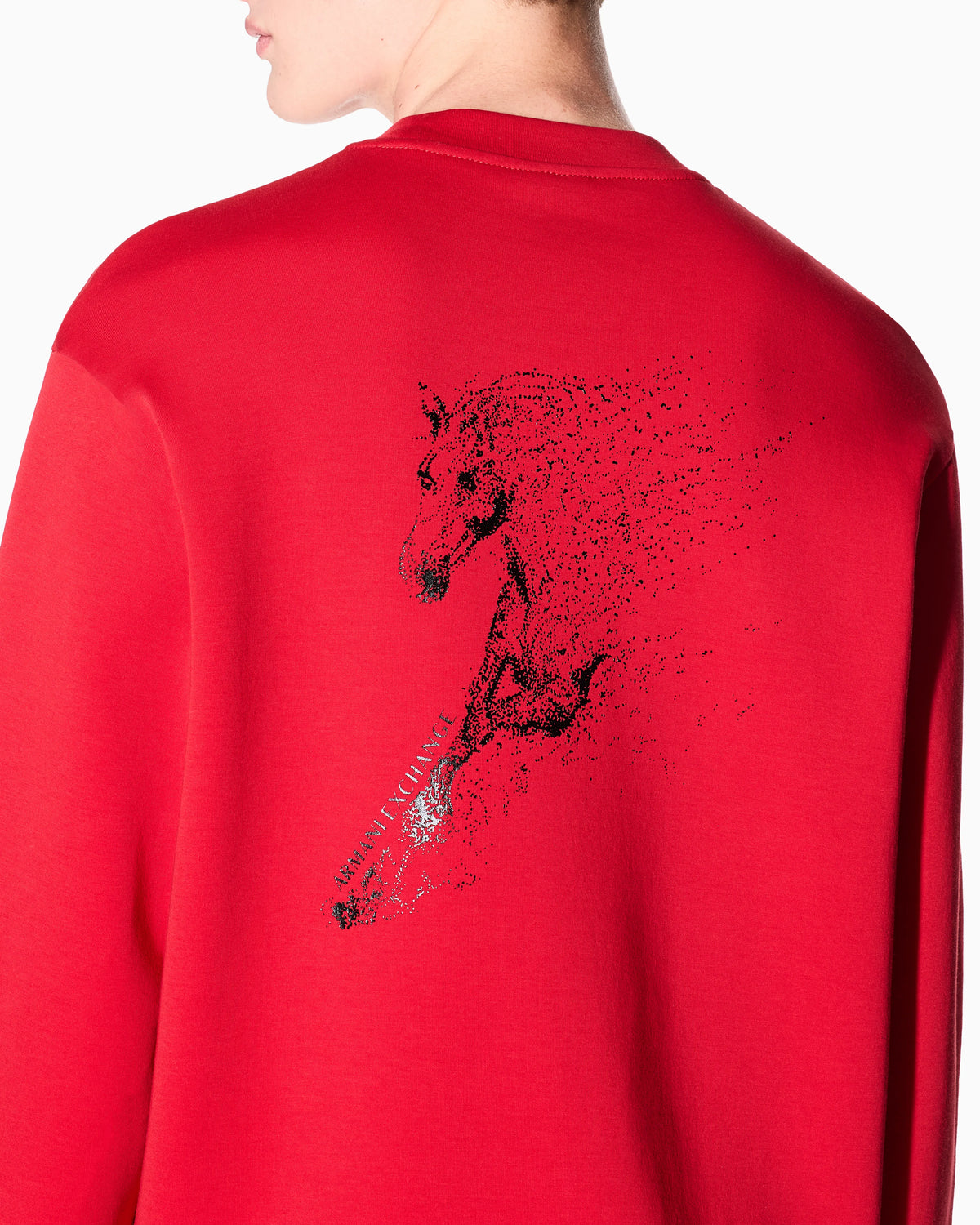 Crewneck sweatshirt with logo and horse print on the back