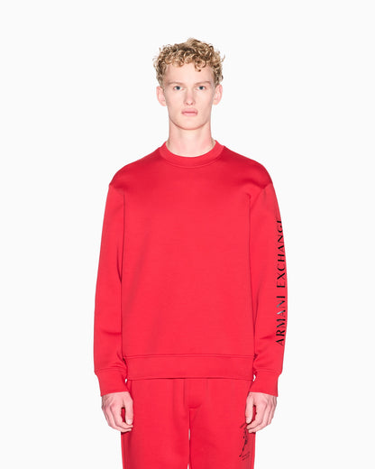 Crewneck sweatshirt with logo and horse print on the back
