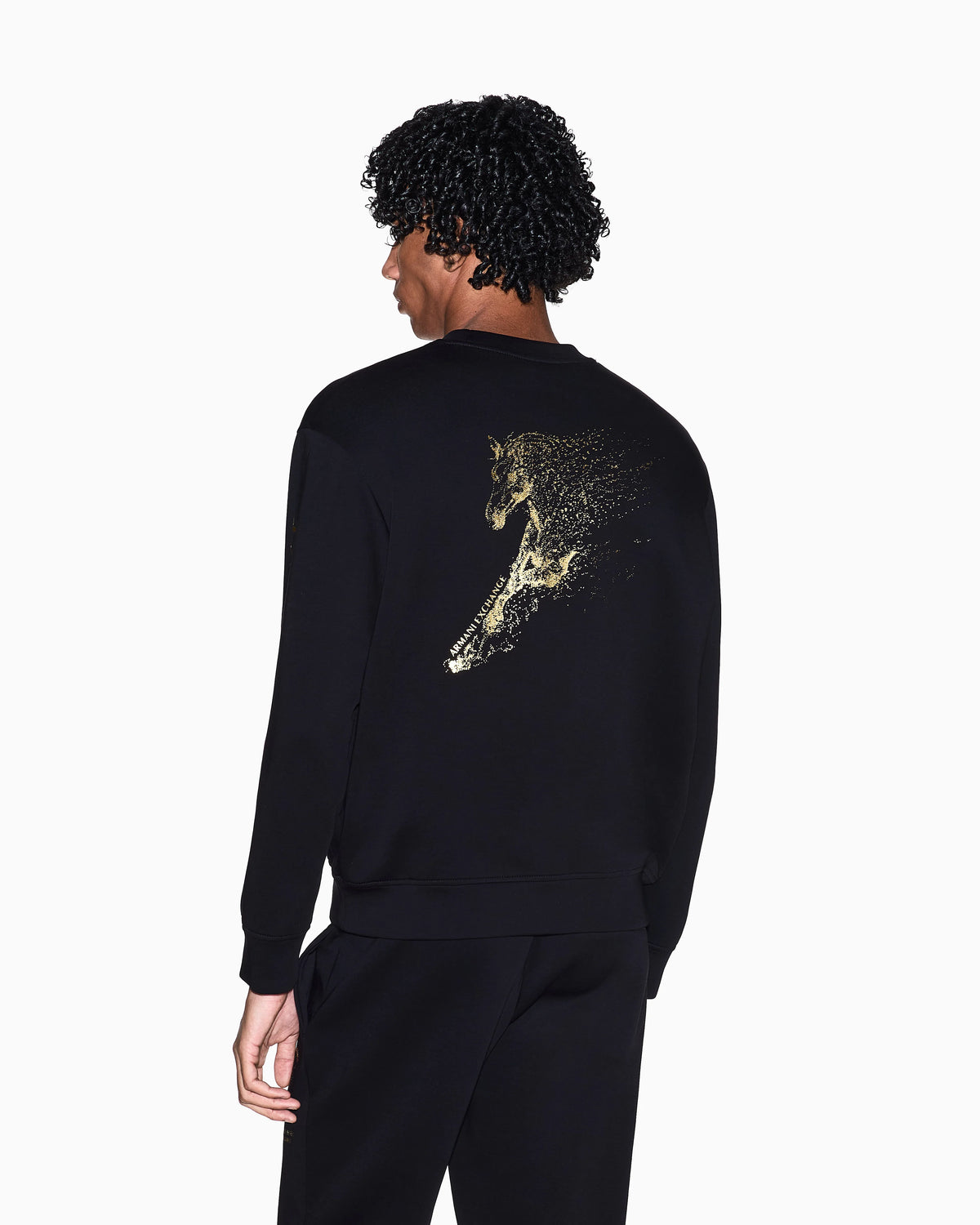 Crewneck sweatshirt with logo and horse print on the back