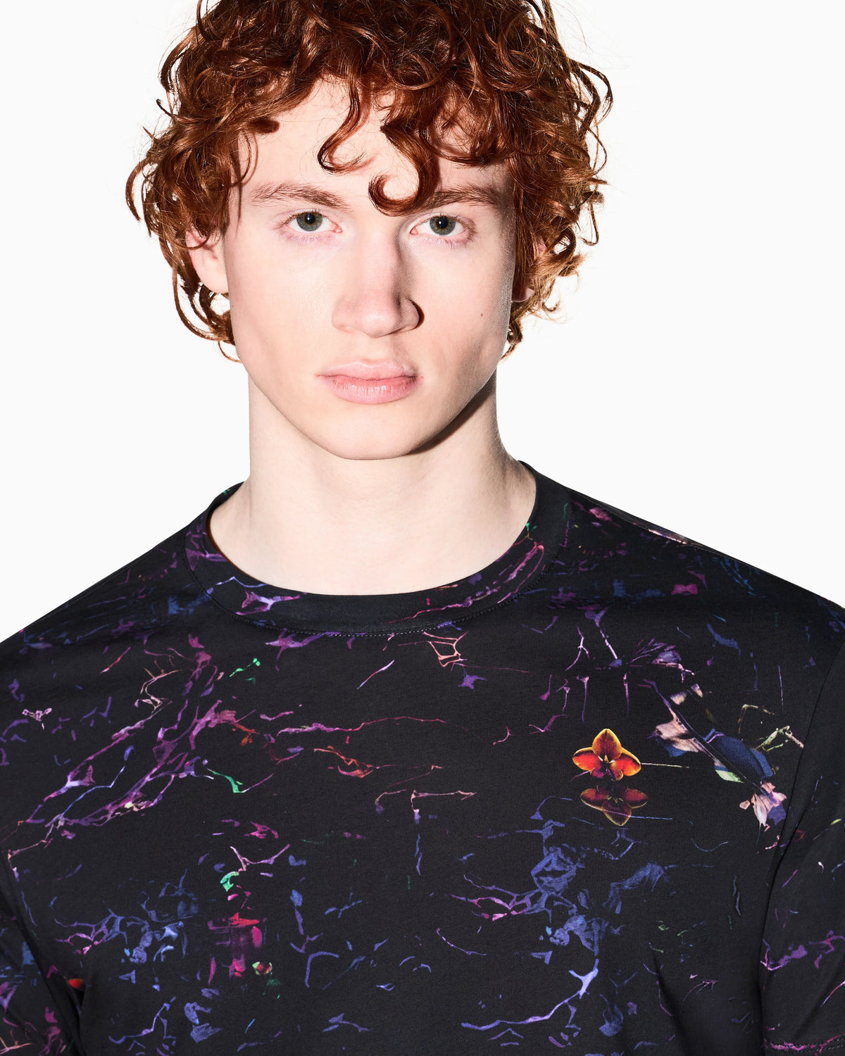 Regular Fit T-Shirt in Cotton Jersey