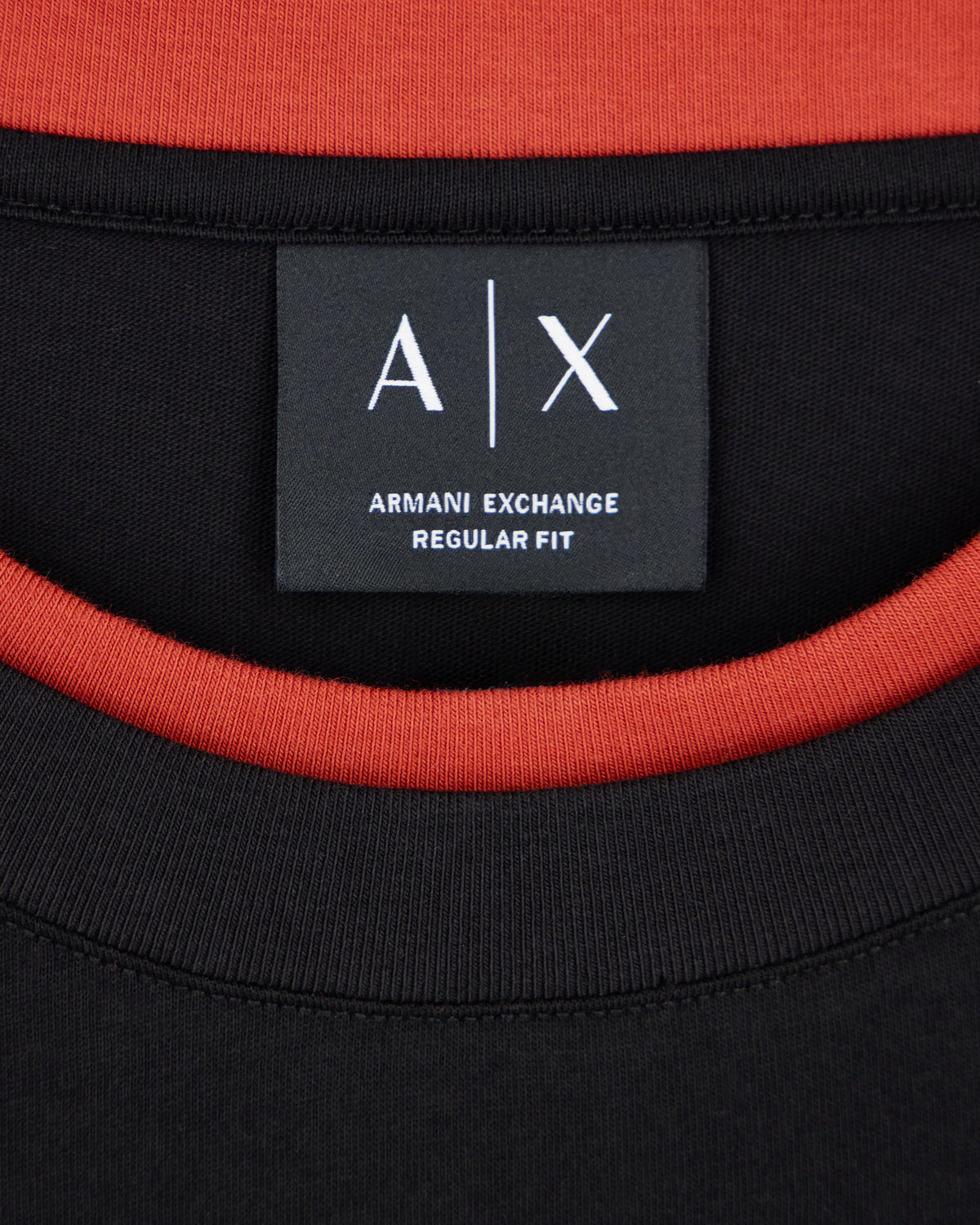Regular fit crew neck t-shirt in cotton jersey with a logo