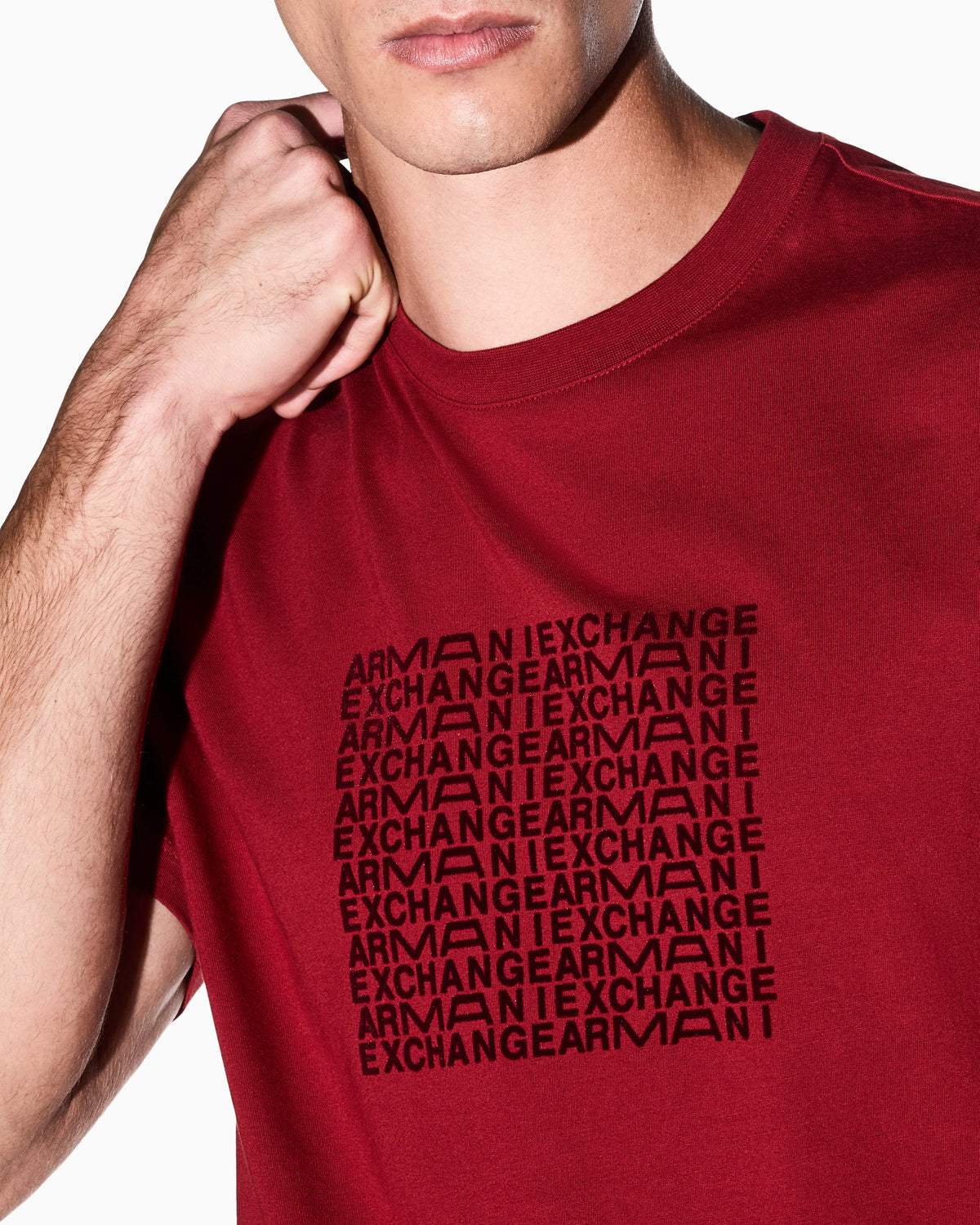 regular t-shirt in cotton jersey