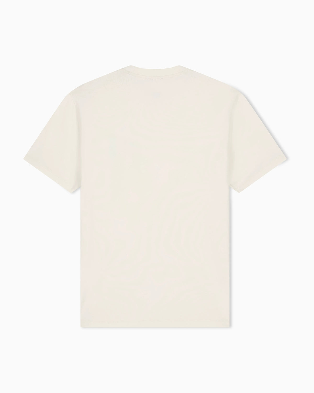 regular t-shirt in cotton jersey