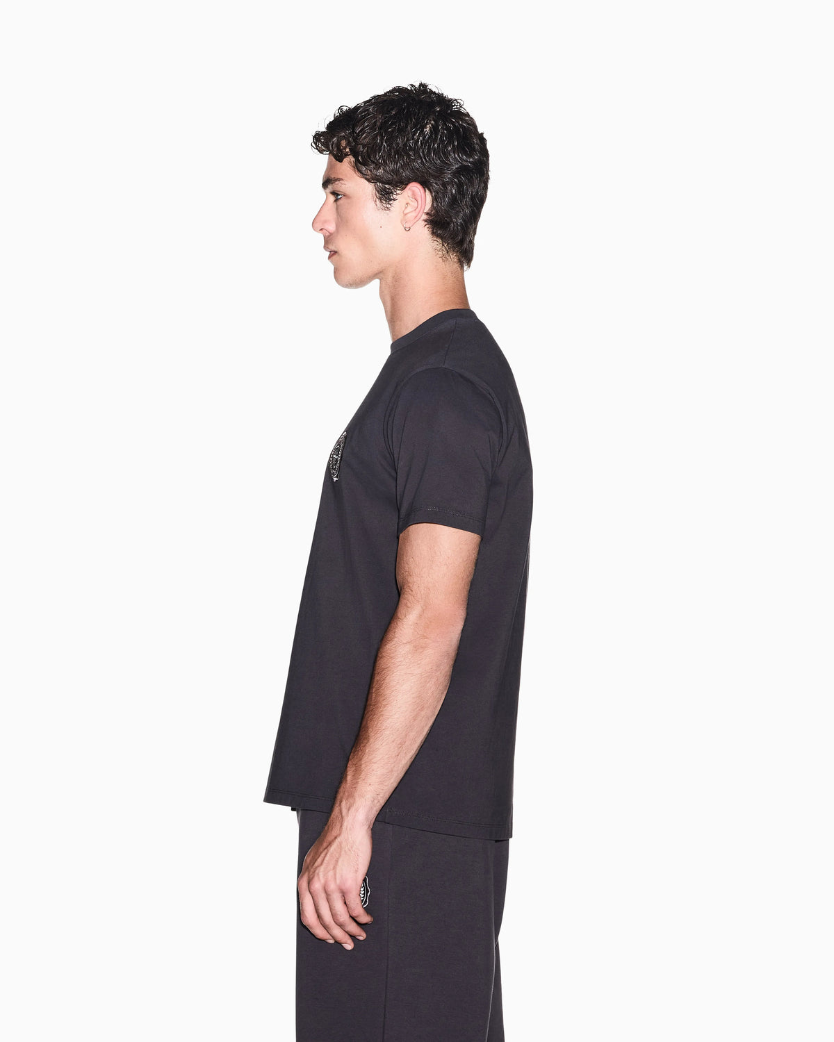 regular t-shirt in cotton jersey
