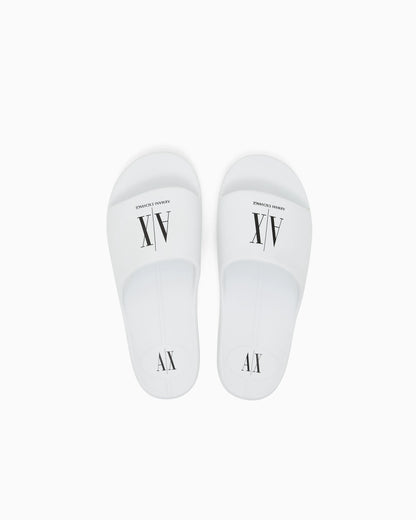 ICON PROJECT LOGO SLIDES