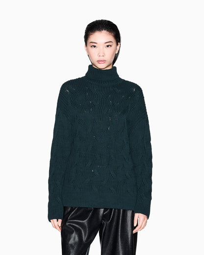 Chunky knit turtleneck sweater