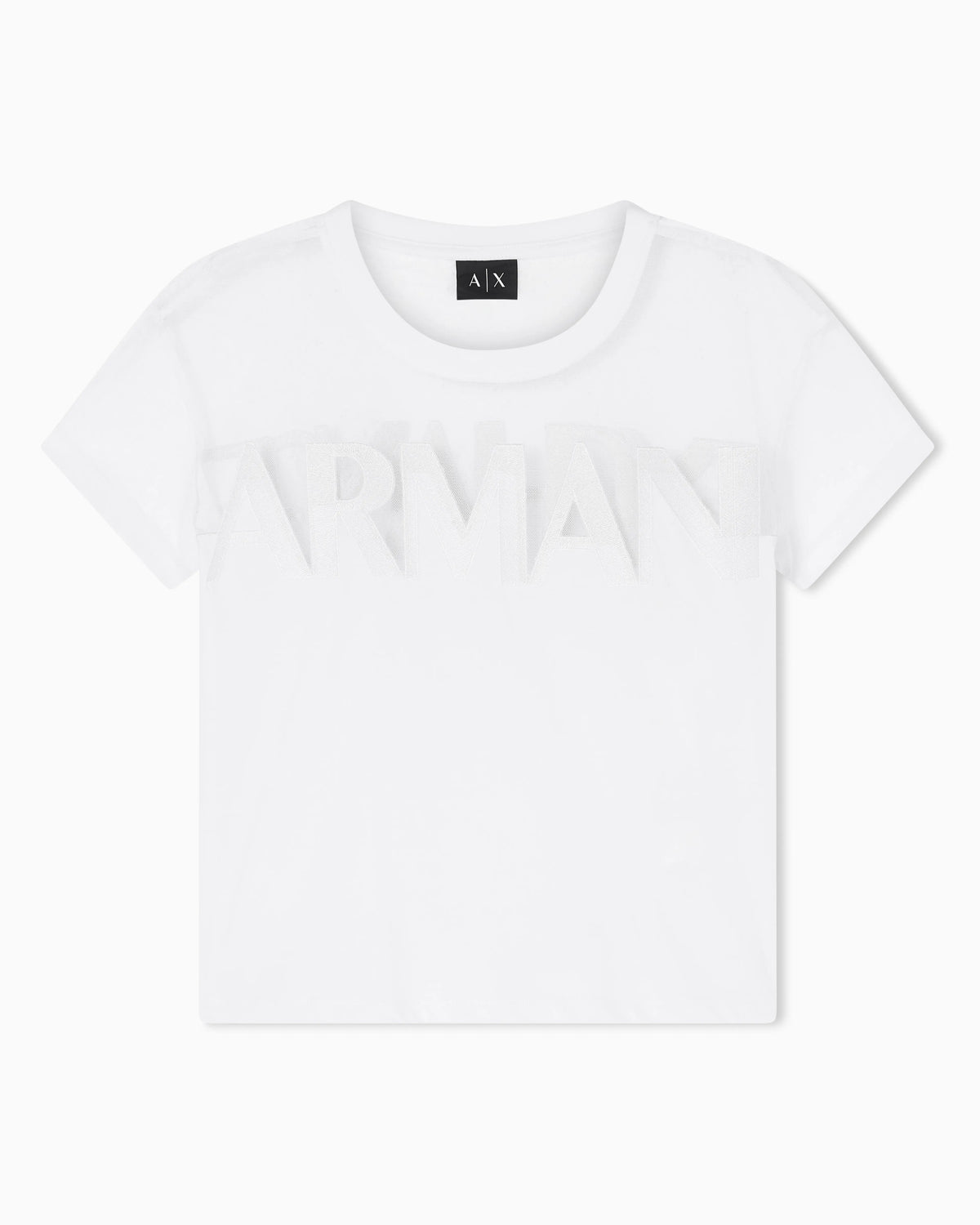 Regular Fit T-shirt in Cotton Jersey