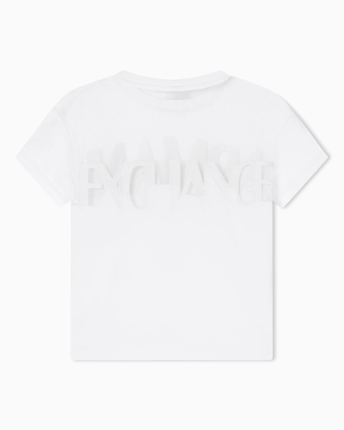 Regular Fit T-shirt in Cotton Jersey