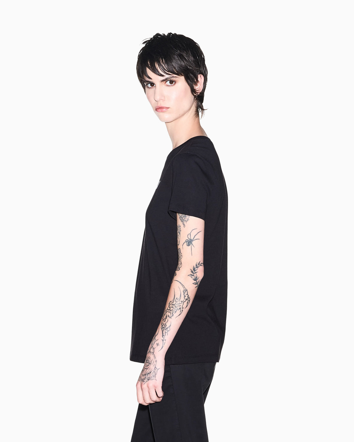 regular t-shirt in cotton jersey
