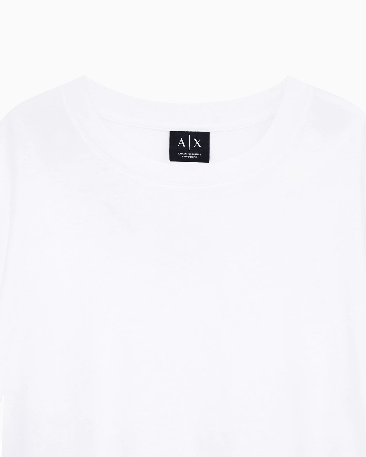 regular t-shirt in cotton jersey