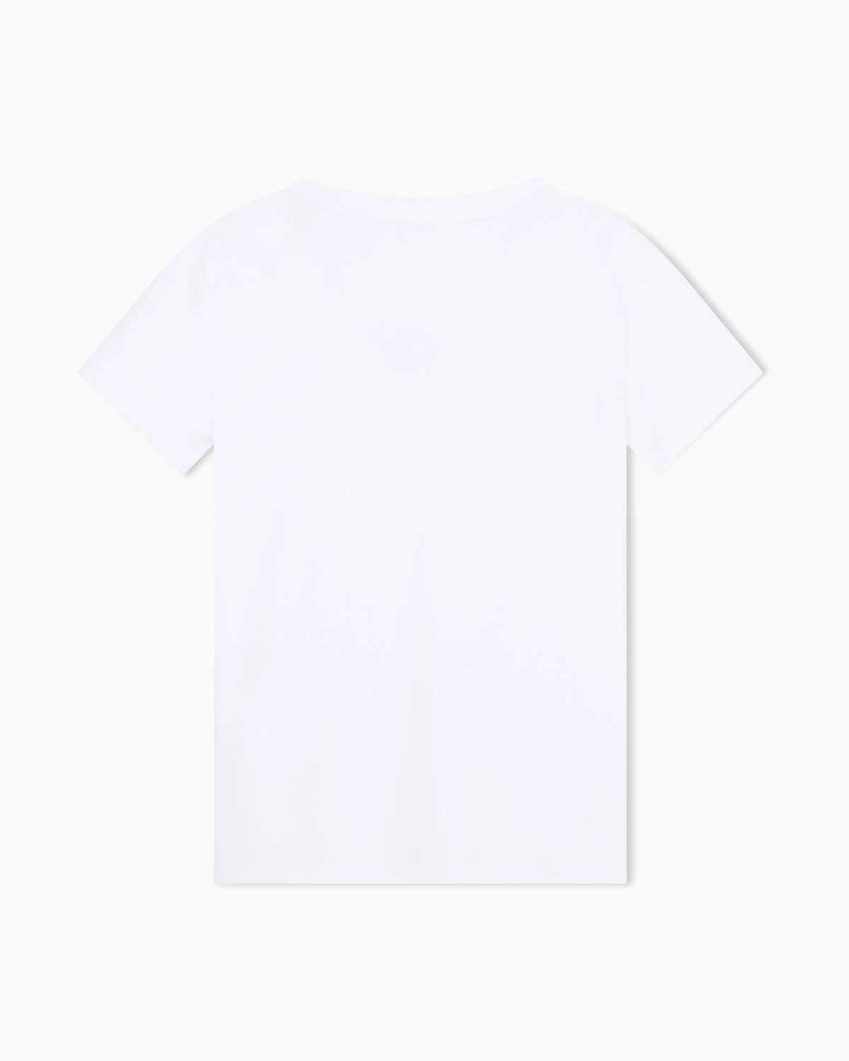 regular fit t-shirt in cotton jersey