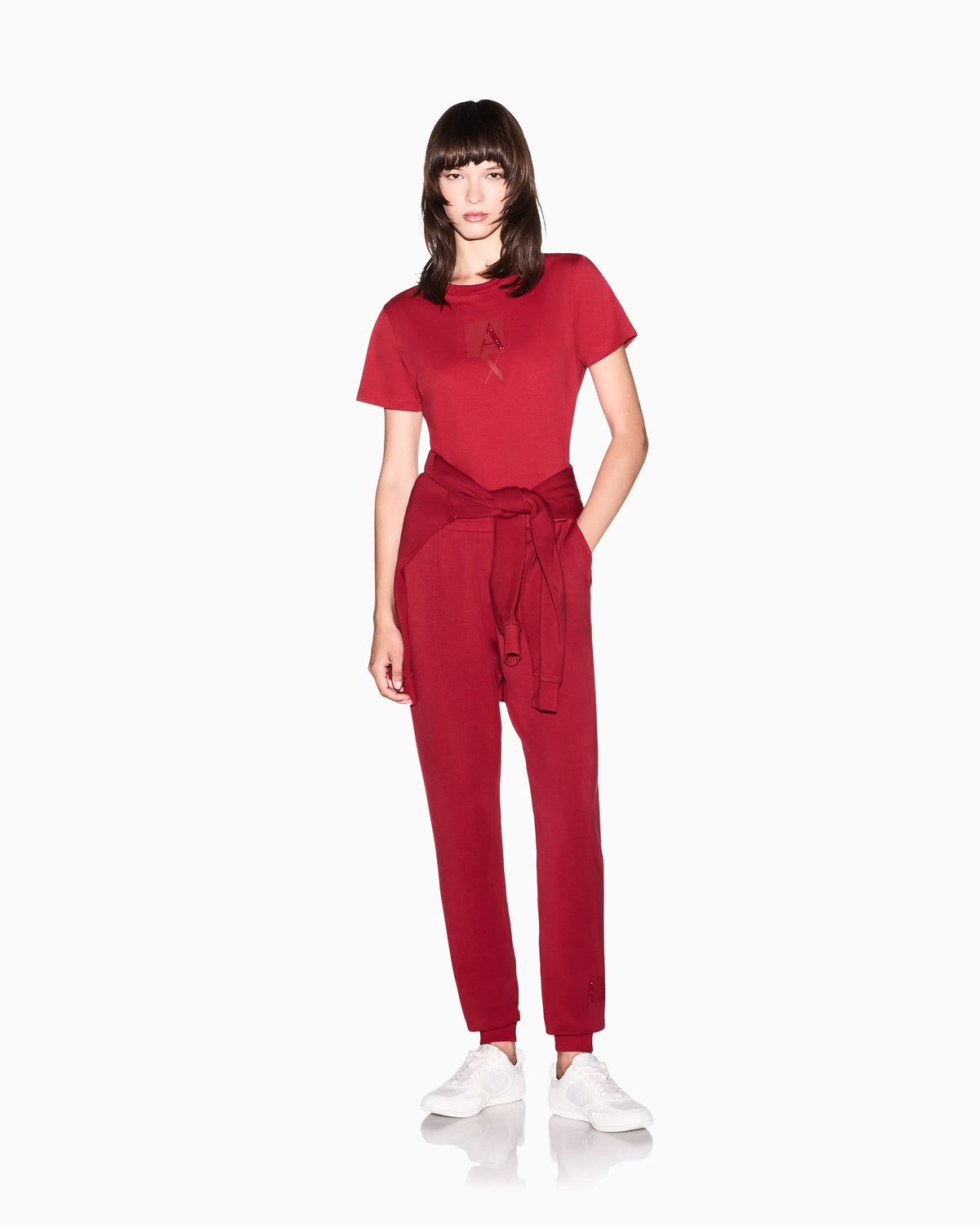 regular fit t-shirt in cotton jersey