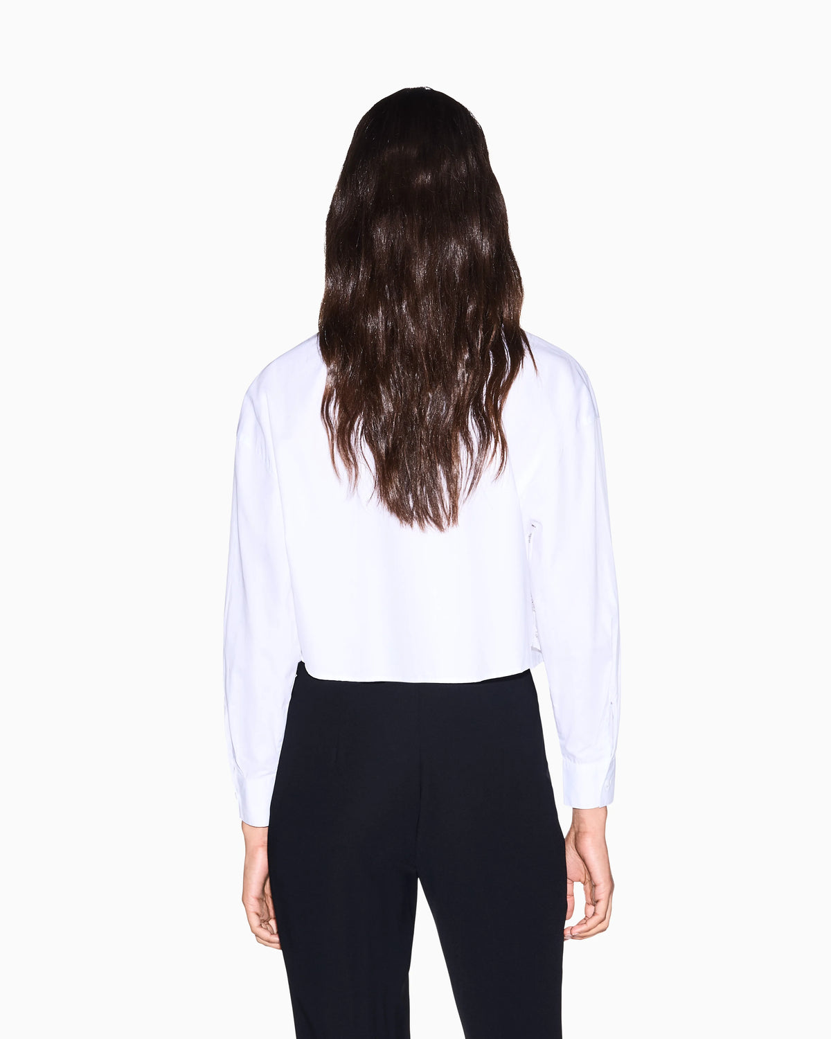 regular fit shirt in organic cotton poplin